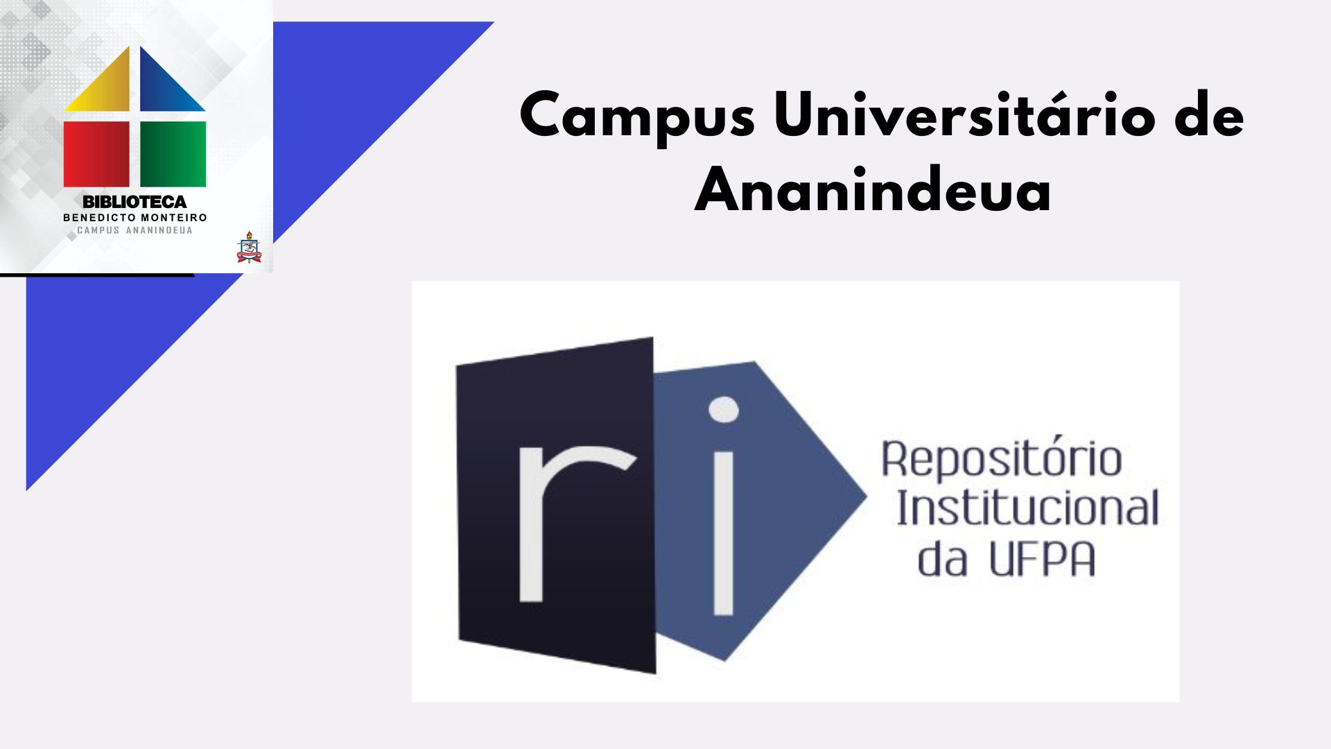 Comunidades e Coleções do Campus Ananindeua no Repositório Institucional da UPFA